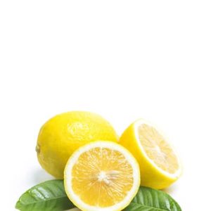 product11 free img